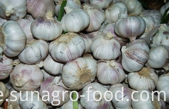 Lots of garlic